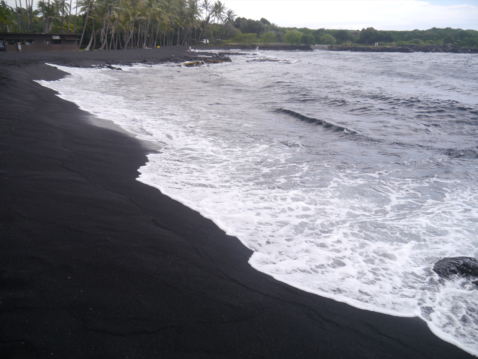 ハワイ島 プナルウ黒砂海岸